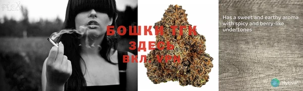 твердый Липки