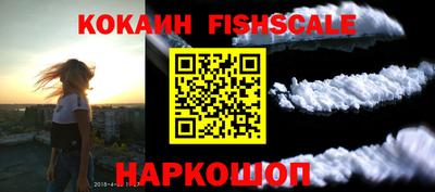 стаф Гатчина