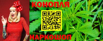 стаф Гатчина