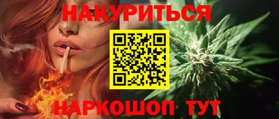 стаф Гатчина