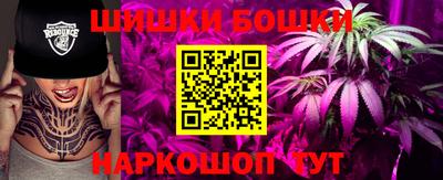 стаф Гатчина