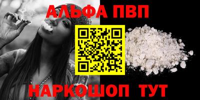 стаф Гатчина