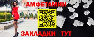 стаф Гатчина