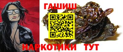 стаф Гатчина
