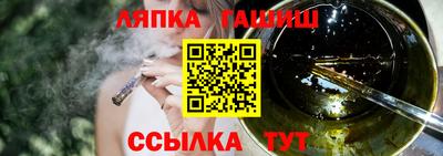 стаф Гатчина