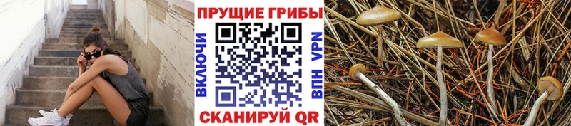 Псилоцибиновые грибы ЛСД  мега сайт  Армавир 
