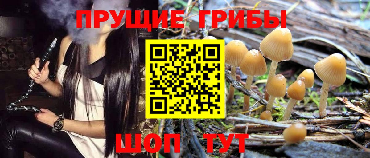 Галлюциногенные грибы мицелий  Псилоцибиновые грибы Psilocybine cubensis  Армавир 