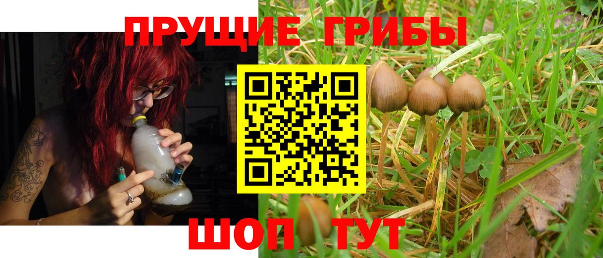 Галлюциногенные грибы Psilocybine cubensis  Галлюциногенные грибы Magic Shrooms  Армавир  купить наркотики сайты  Вход с VPN 